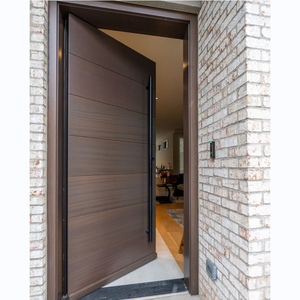 Modern Villa Exterior Front Pivot Entrance Door