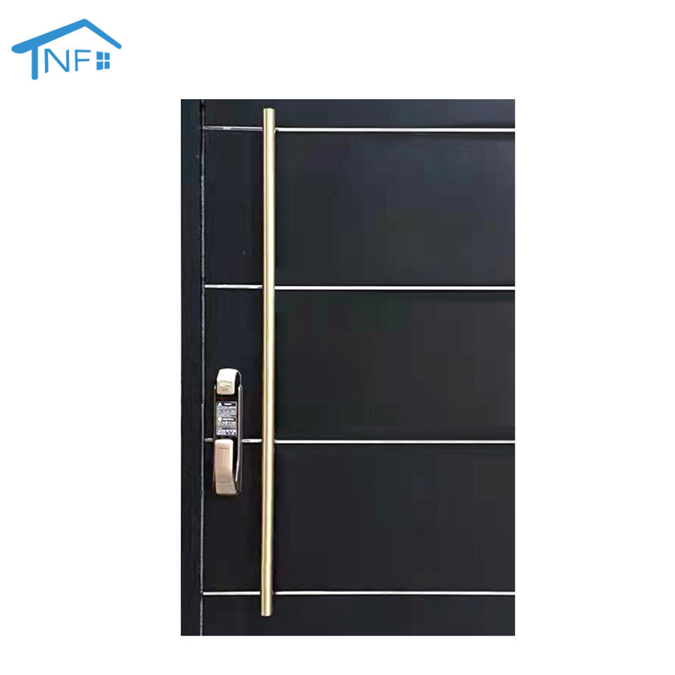 New Exterior Luxury Light Metal Aluminum Alloy Door Pivot Entry Front Doors For Houses Modern