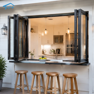 Double Tempered Glass Folding Kitchen Window