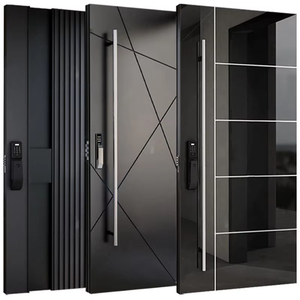 Modern Luxury Aluminum Glass Pivot Front Door