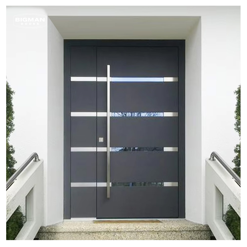 Security Door Details