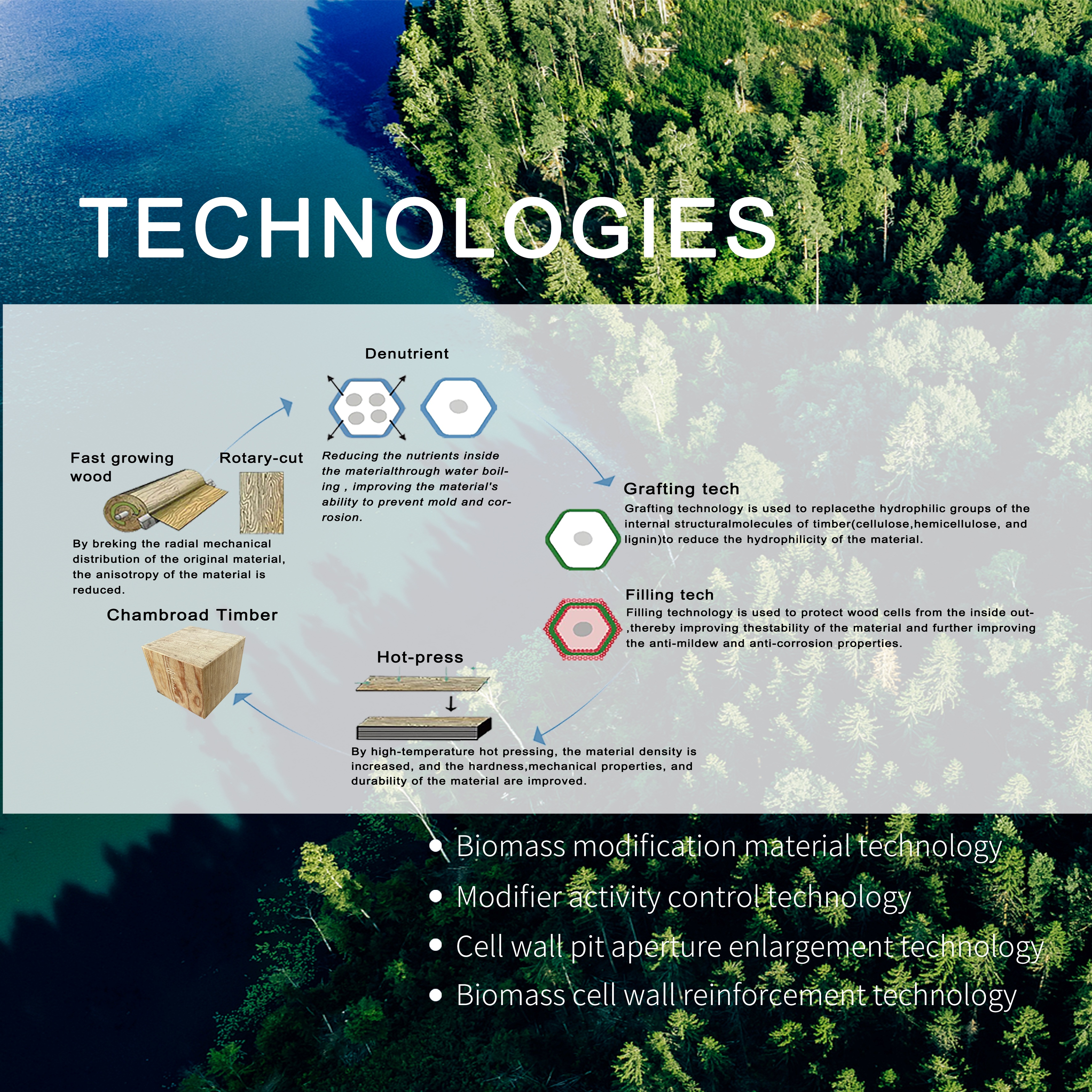 Biomass Modification Technology