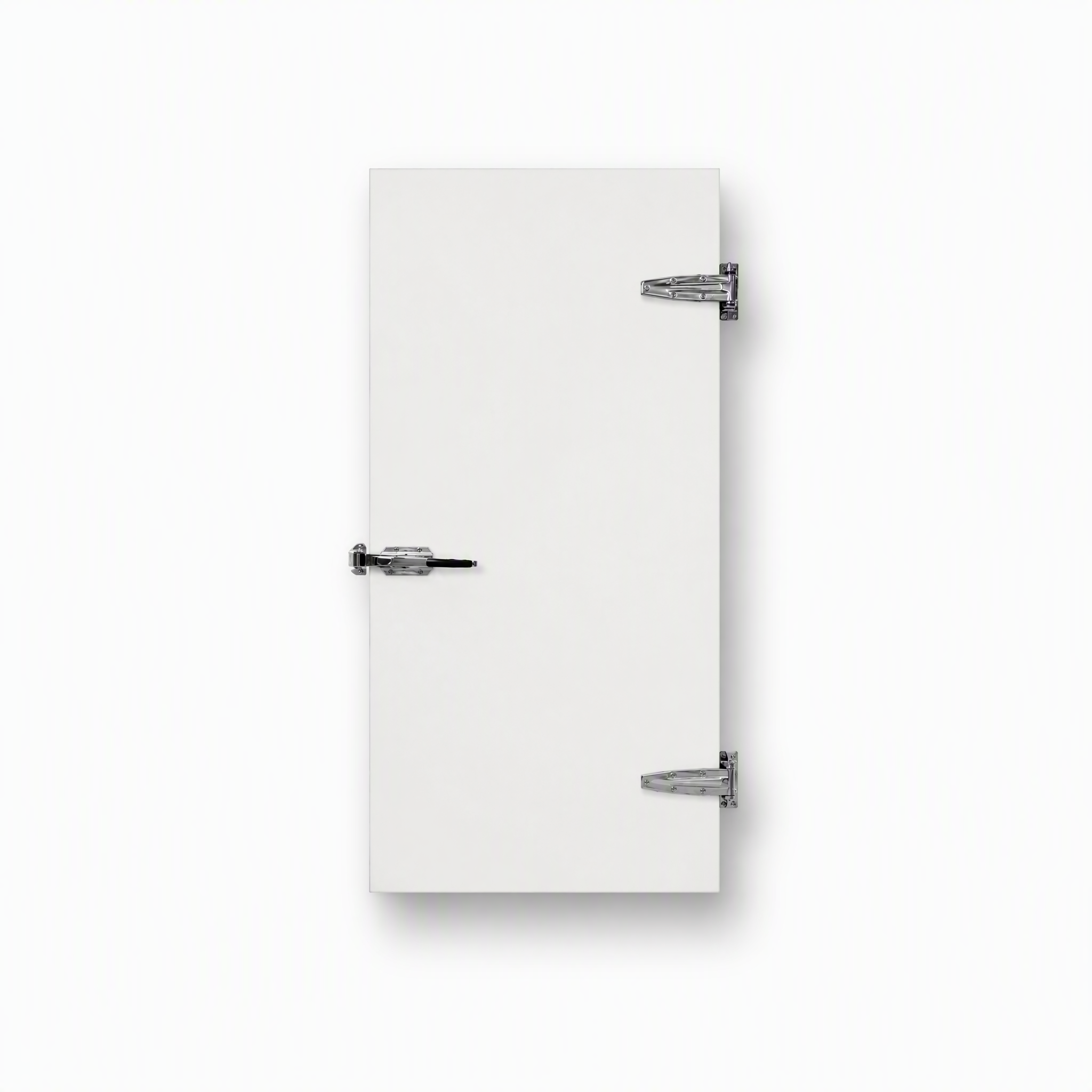 Stainless Steel &amp; PVC Aluminum Alloy Insulated Waterproof Semi Recessed Hinged Side Opening Modern Design Cold Storage Door