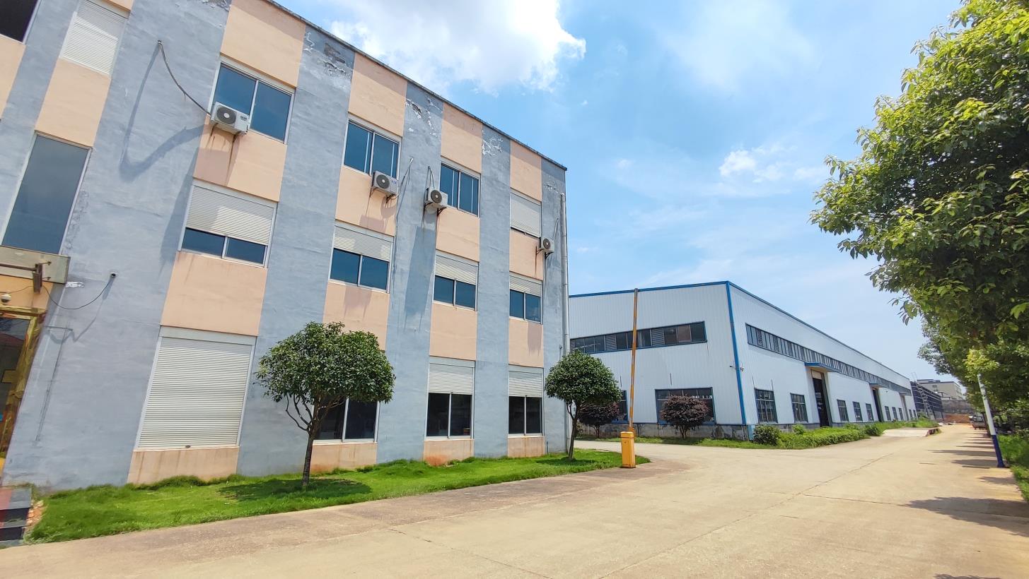 Company Workshop