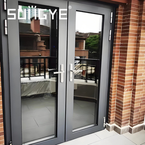 Modern Aluminum Double Swing French Door