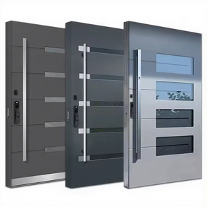 Luxury Villa Entrance Pivot Entry Doors Stainless Steel
