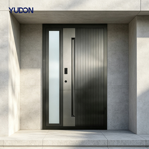 Luxury Architectural Glass Entrance Door