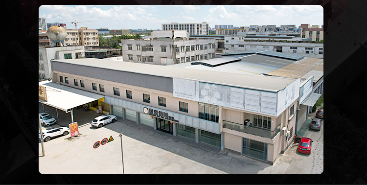 Company Overview