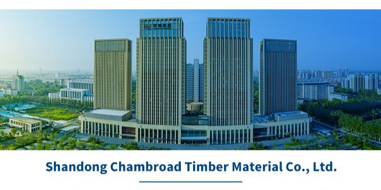 Energy Efficient Modern Aluminum Clad Wood Tilt and Turn Swing Open Windows for Bedroom and Green Buildings Wood Aluminum Window