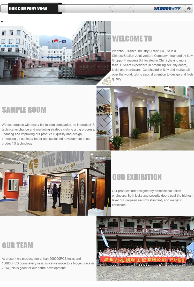 Newest Design Top Quality Villa Main Entrance Security Door Aluminum Swing Front Unequal Double Door