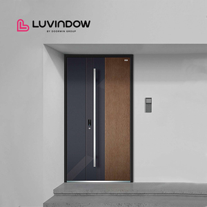 Home Aluminum Exterior Entry Pivot Door Classic Modern Design