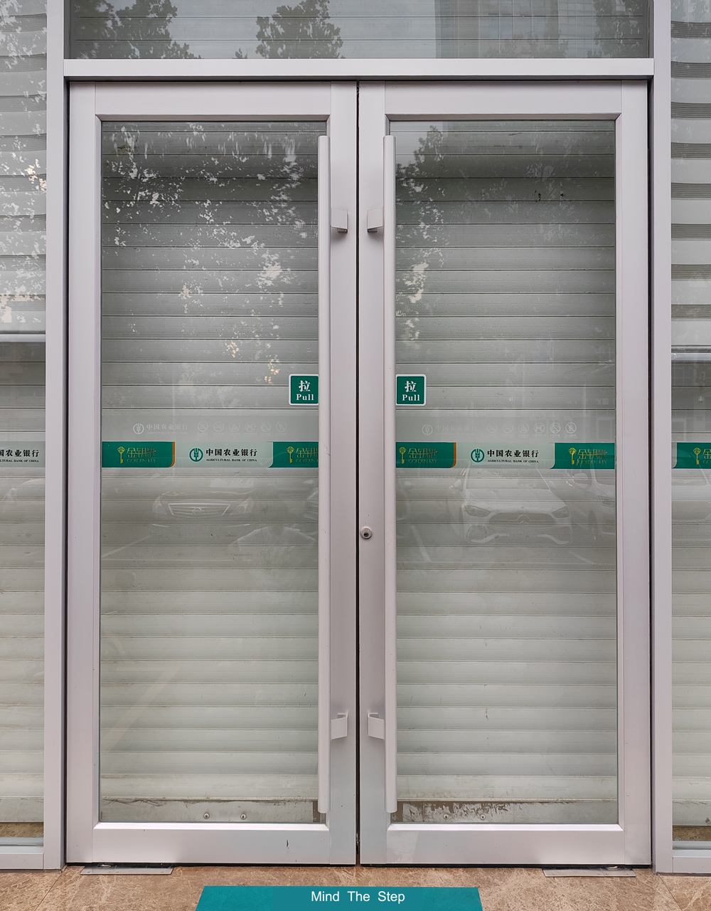 Hurricane Impact Glass Entrance Door Details