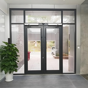 Commercial Double Swing Entry Door