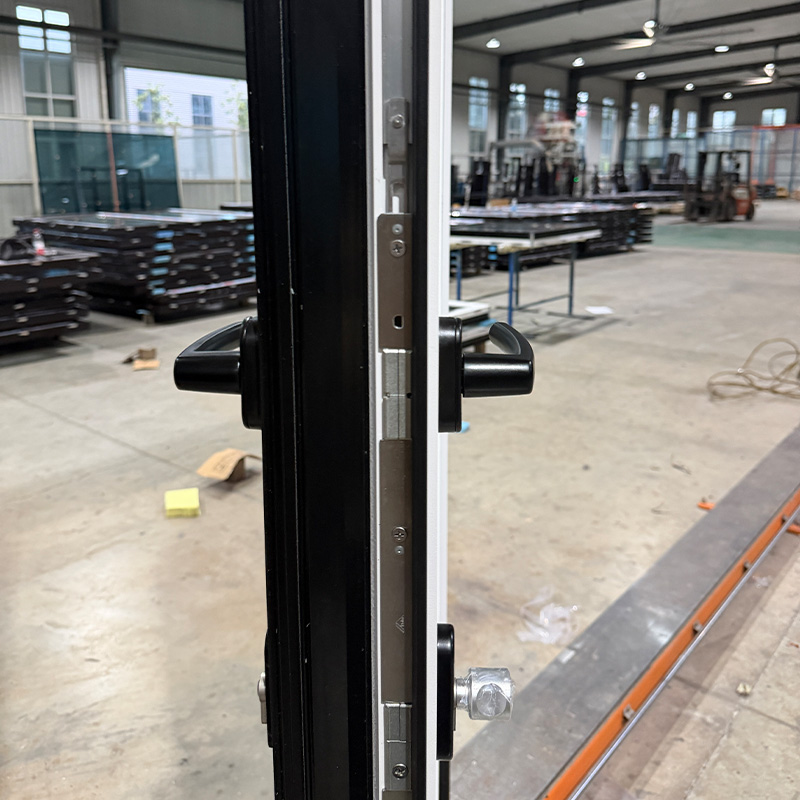 Huasin Customized Modern Design Lowe Double Tempered Glass Sound Heat Insulation Swing Aluminum Casement Door