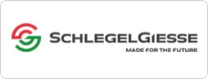 Global logistics partner