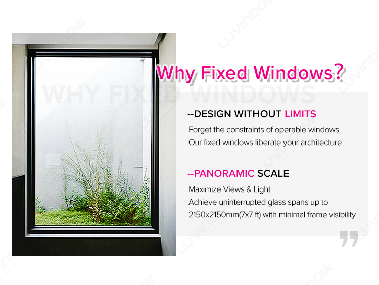 Architectural Window Design